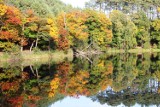 Kolory jesieni nad jeziorem Czarnym koło Rańska [ZDJĘCIA]