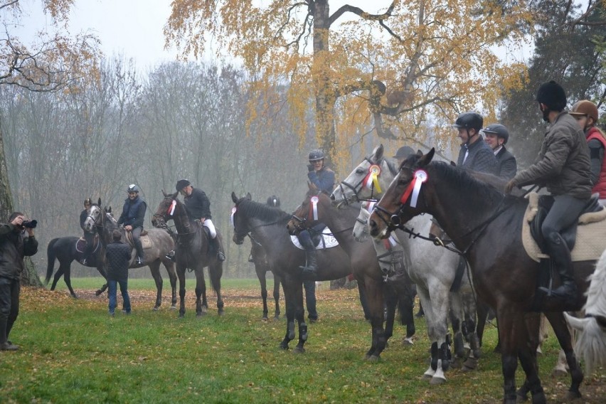 Walewice zapraszają na wystawę malarską i pogoń za lisem (Zdjęcia)