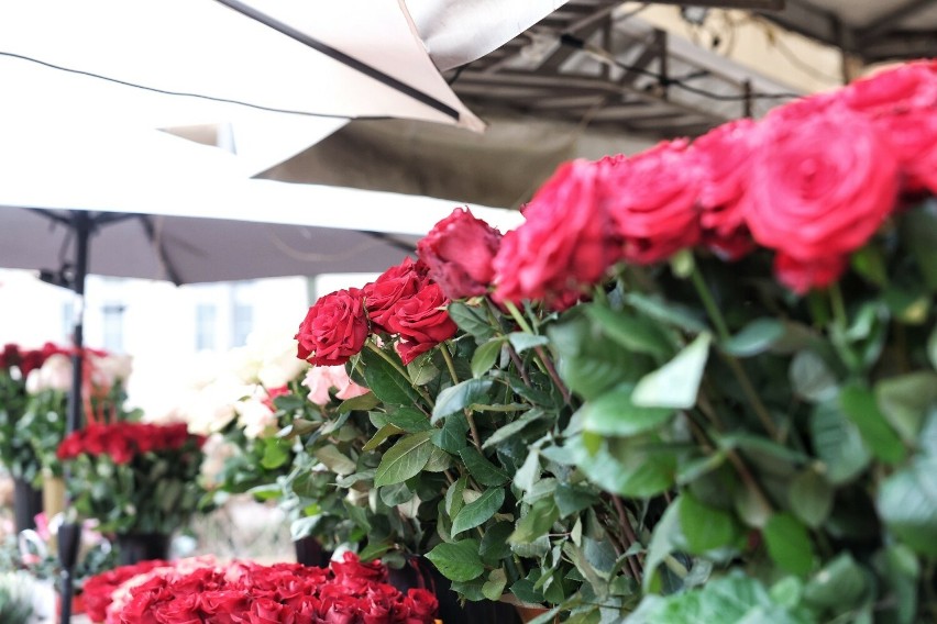 Na poznańskich rynkach można kupić najróżniejsze kwiaty i...