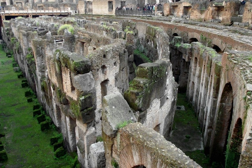 Koloseum wzniesiono w latach 70-72 do 80 n.e. przez cesarzy...
