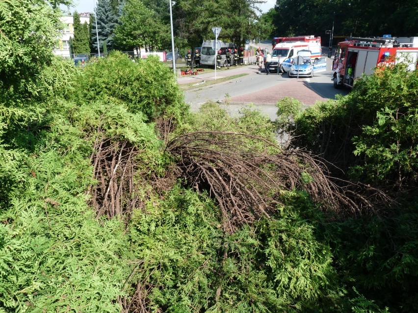 Jastrzębie: bus uderzył w bramę szkoły [ZDJĘCIA Z WYPADKU]