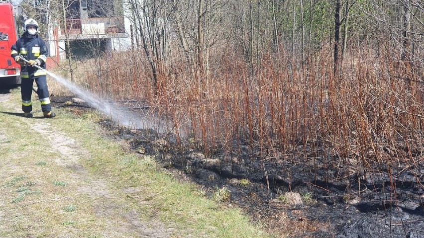 Powiat bełchatowski. Zerwana linia energetyczna spowodowała pożar