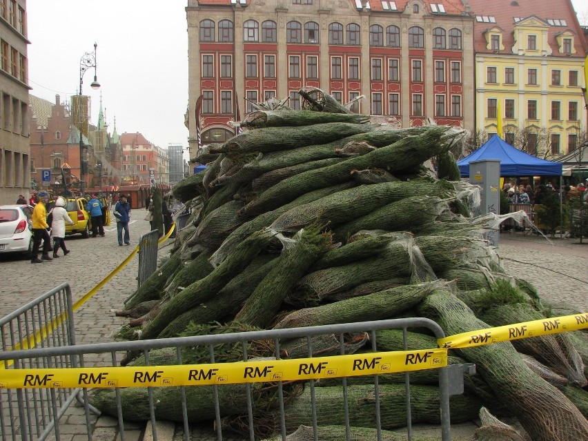 Wrocław, darmowe choinki na placu Solnym