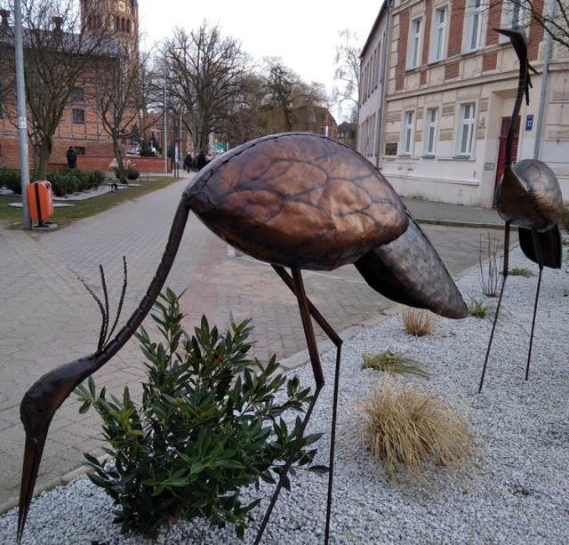 Wiosenne żurawie w Szczecinku przy Zamkowej