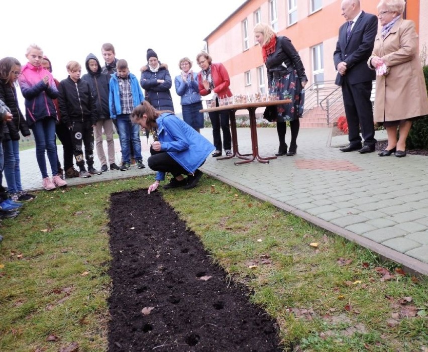 Posadzili 180 kwiatów na 180-lecie szkoły w Szczepanowie [zdjęcia]