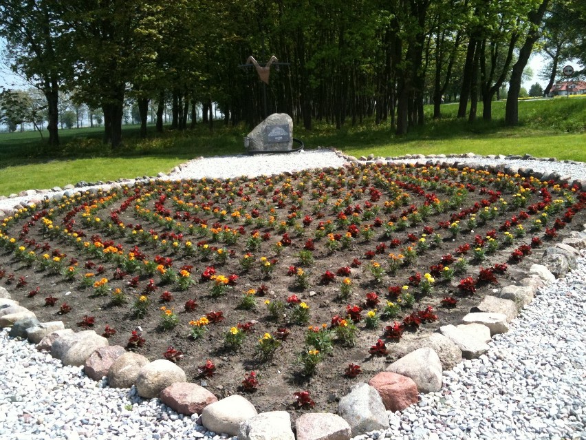 Gnojewo. W poniedziałek zostanie odsłonięty pomnik upamiętniający ofiary Stalagu XXB - galeria zdjęć