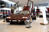 WOŚP 2022 w Radomiu. Niezwykła wystawa Lamborghini i Radomskich Klasyków w Volkswagen Ster. Zobacz zdjęcia