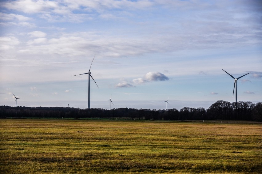 Prace nad powstaniem farmy wiatrowej pod Żarami, zakończyły...