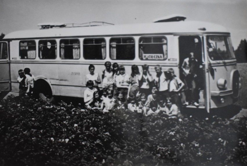 Kolonie Wojewódzkiego Zakładu Weterynarii w Marszewie w 1971 roku