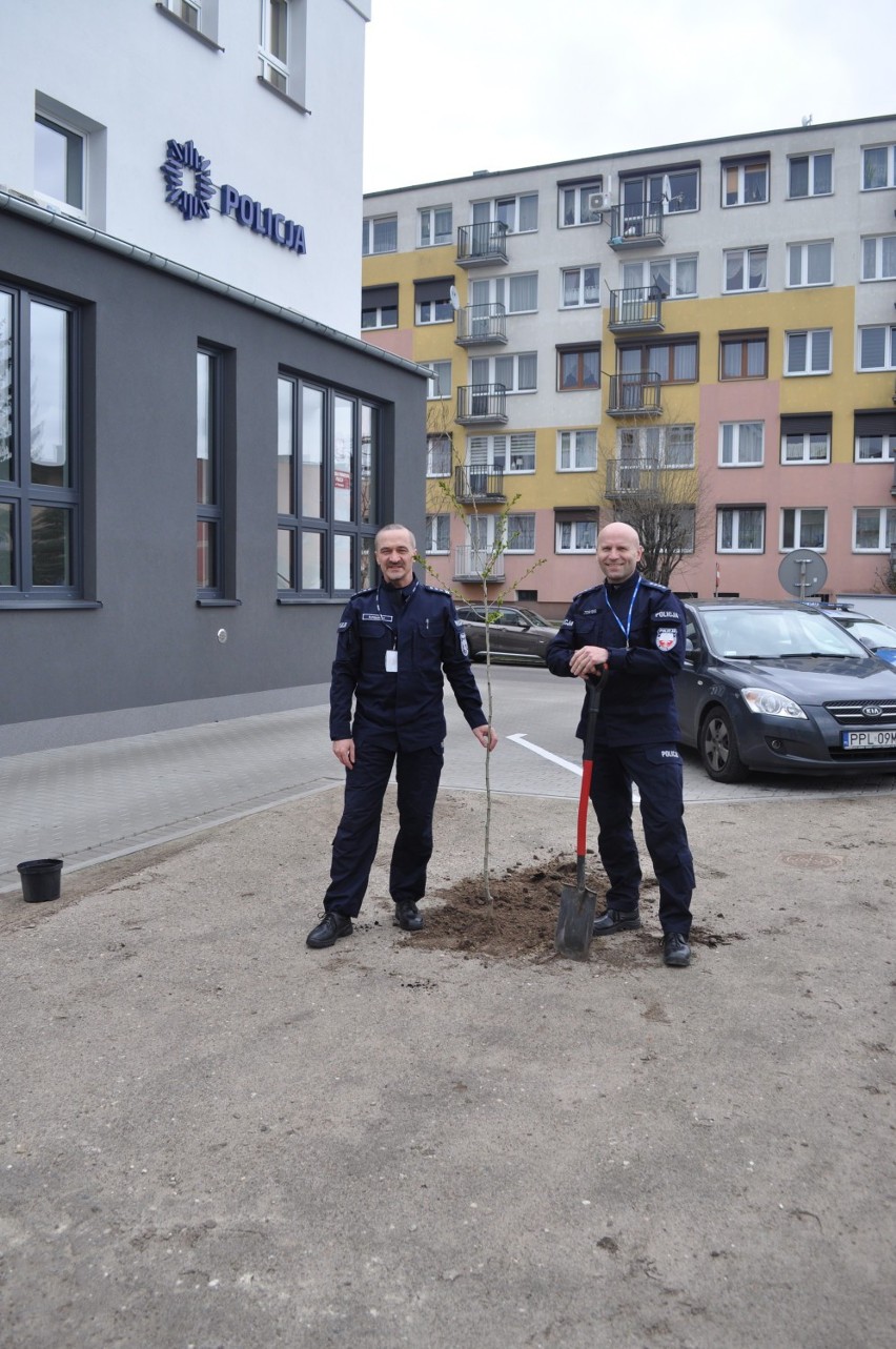 Posadzili pamiątkowe drzewo przed rozbudowaną komendą