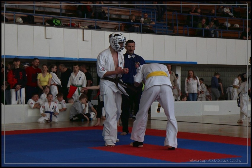 Ostrowski Klub Karate Kyokushin zdobył 11 pucharów w Silesia Cup 2023 w Czechach, 29.04.2023