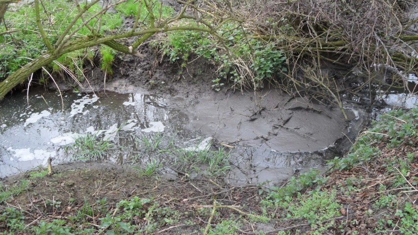 Zanieczyszczona rzeka Włodowice