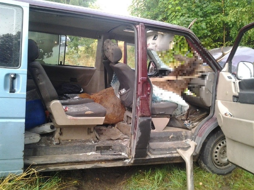 VW Transporter potrącił jelenia. Cztery osoby trafiły do szpitala [ZDJĘCIA] 