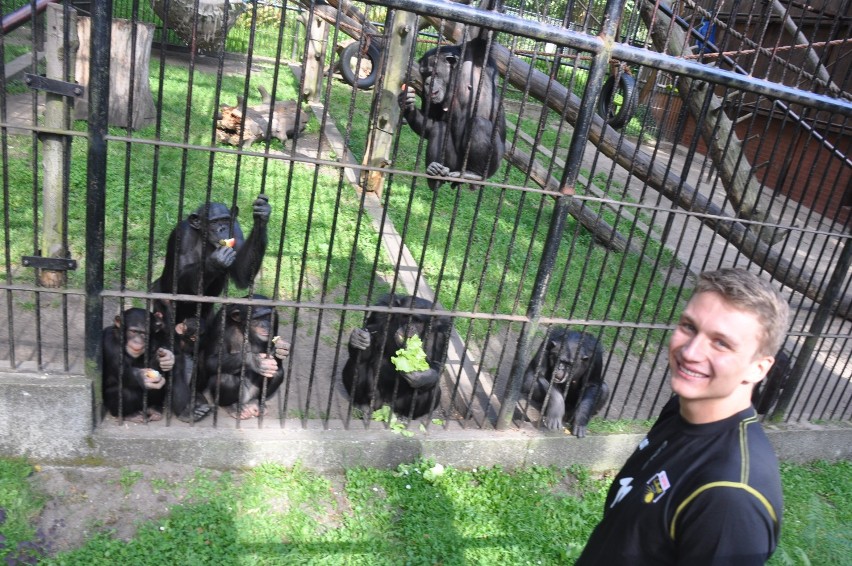 Maciej Zajder i szympansy