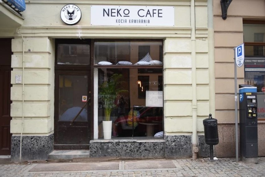 "Neko Cafe"