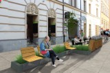 Kraków doczeka się pierwszego mikroparku 