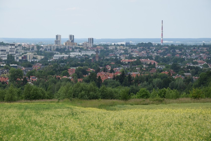 Zobacz przepiękną panoramę Rzeszowa ze wzgórza na pograniczu Słociny i Matysówki. Warto wybrać się tam na spacer