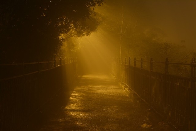 Pamiętajmy, że mgła może występować bez smogu. Wtedy bez obaw możemy wybrać sie na spacer na świeżym powietrzu. Za to mgła towarzyszy też zawsze  występuje wraz z niebezpiecznym smogiem.