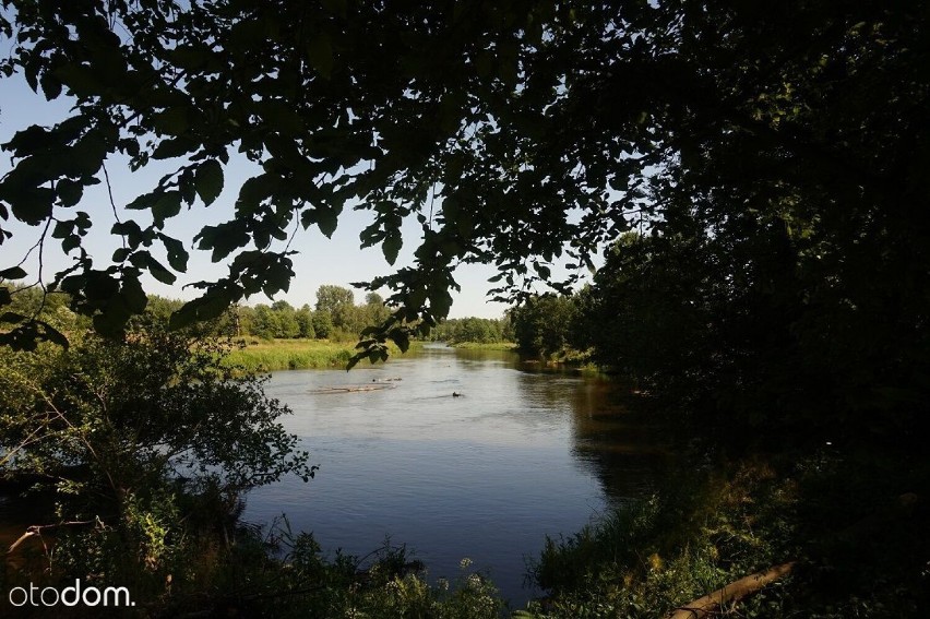 Klimatyczny dom z ogrodem nad rzeką na sprzedaż w Raduczycach w gminie Osjaków ZDJĘCIA