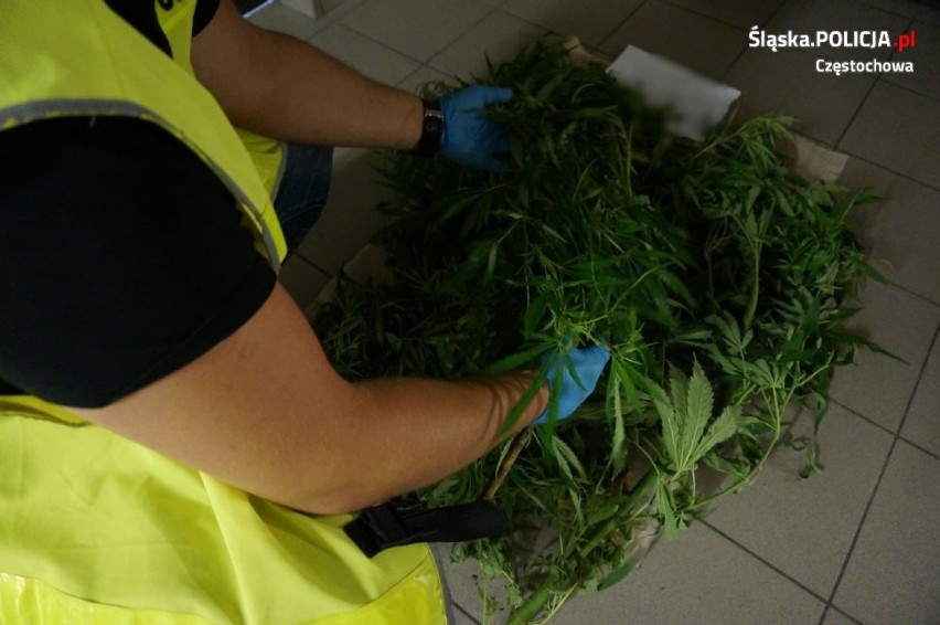 Marihuanę schował w piecu. Policjanci znaleźli narkotyki 
