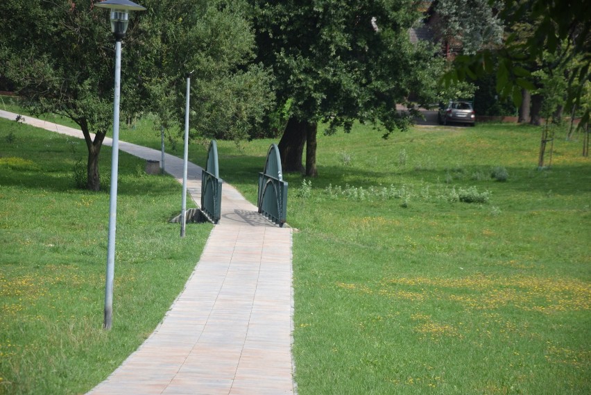 Park Górniczy w Tychach: Przestrzeń, natura, plac zabaw ZDJĘCIA