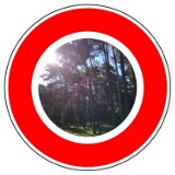 Zakaz wstępu do lasu na terenie Nadleśnictwa Dębica [AKTUALIZACJA]