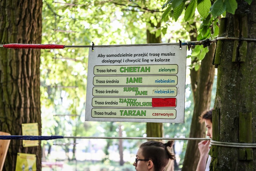 Park linowy Tarzan w Lesznie znów działa. Otwarto go 1 czerwca 2023