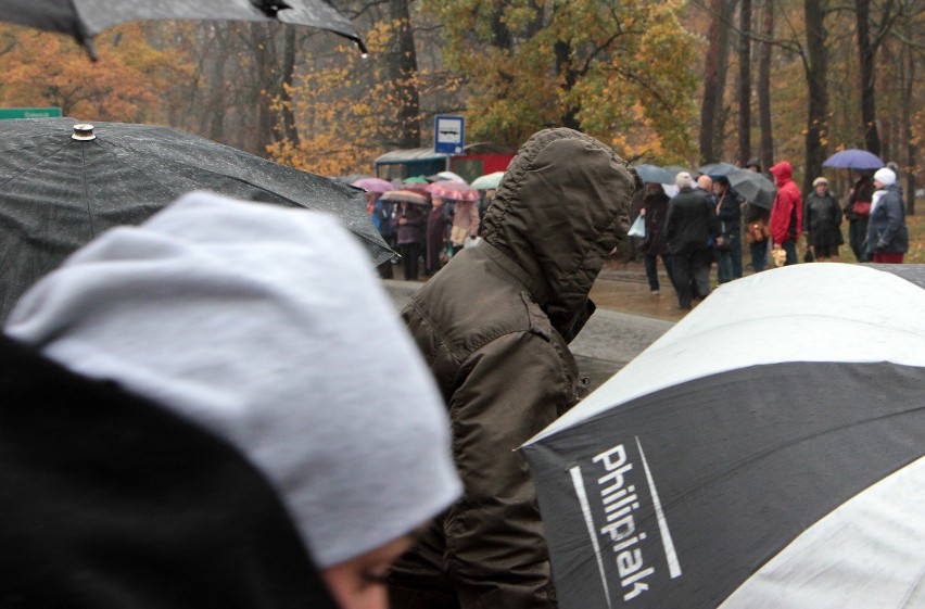 We Wszystkich Świętych deszcz nie odpuszcza. Na największym...