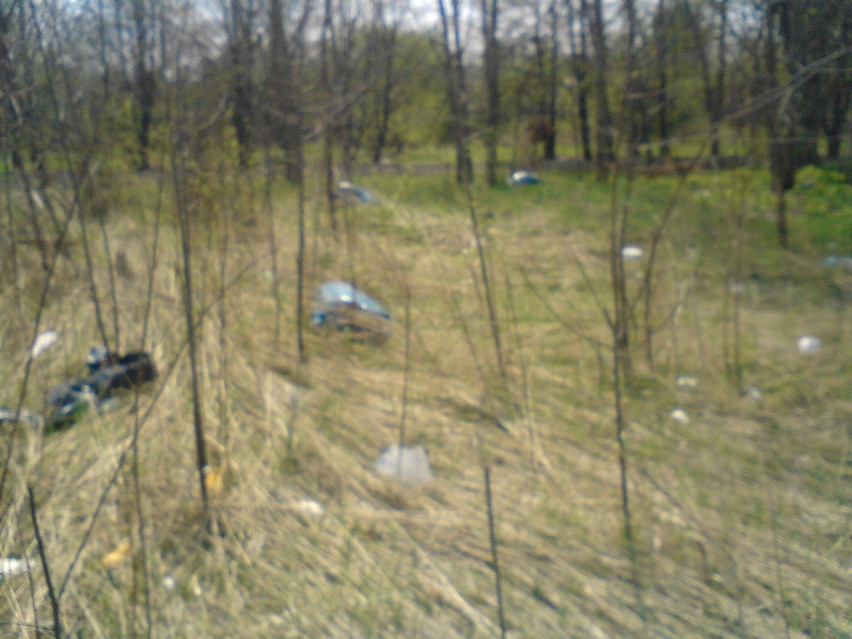 Dzikie wysypisko w Sosnowcu. Sterty śmieci za działkami przy ulicy Stalowej