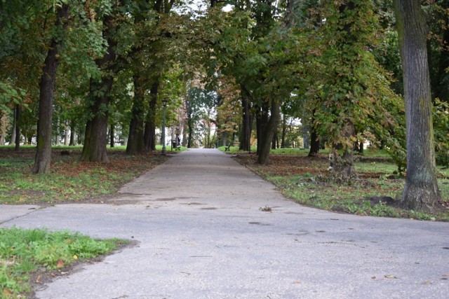 Pieniądze potrzebne są między innymi na prace w Parku Miejskim.