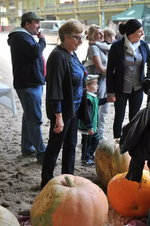 Dzień Korbola, pyry z gzikiem i jabłek w Jaszkowie. Rekordowa dynia! [ZDJĘCIA]