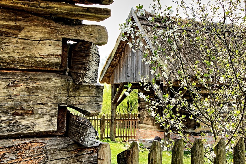 Skansen w Ochli - Photoday