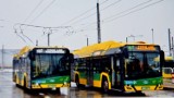 Tychy. Będzie sześć nowych trolejbusów na baterie. W ramach elektromobilności Śląska