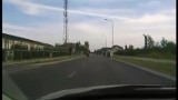 Stado koni przebiegło przez Białystok [WIDEO]