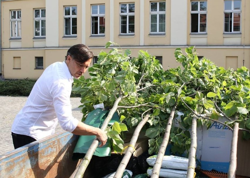 Plac Rozmarek w letniej odsłonie. Miasto planuje kolejne nasadzenia drzew ZDJĘCIA