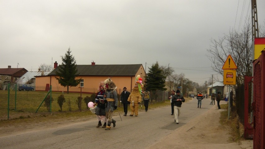 Miśki 2013 w Chrzanowicach