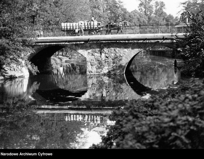 Zdjęcia zostały wykonane w latach 1920-1939 i pochodzą z...