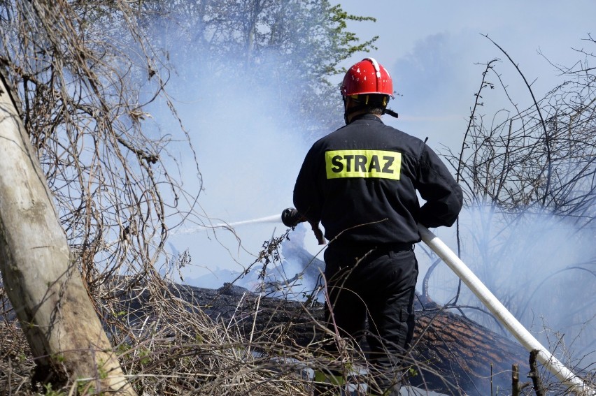 Głogów: Wielki pożar na Biechowie. Strażacy z całego powiatu walczą z ogniem. ZDJĘCIA I FILM Z AKCJI