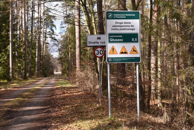 Takie dogi są budowane i utrzymywane przez nadleśnictwa. Jeśli droga jest udostępniona do ruchu, nie można się na niej zatrzymywać!