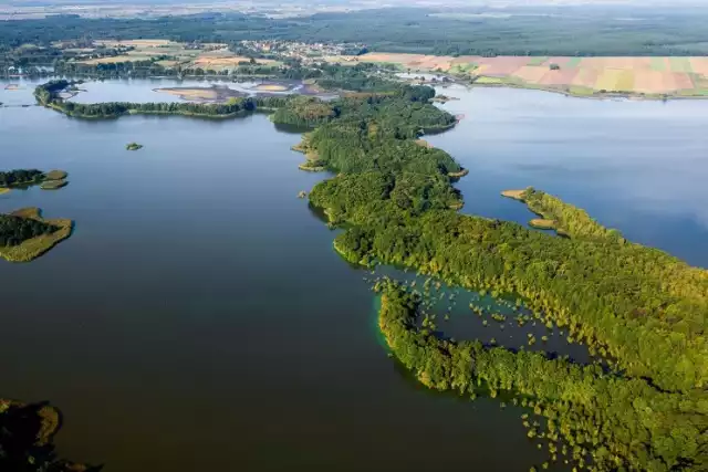 Stawy Milickie, leżące w Dolinie Baryczy, są największym kompleksem stawów hodowlanych w Europie. Jednak przez słowo „wielkość” przemawia nie tylko rozmiar, ale również unikatowość fauny i flory, wspaniała synergia pomiędzy lądem, a wodą oraz unikatowość i dzikość terenu. Mniej znanym faktem jest to, że Stawy Milickie to największy ornitologiczny rezerwat przyrody w Polsce, z unikatowymi ptasimi siedliskami. W tym miejscu został zawarty niepisany pakt człowieka i natury.
