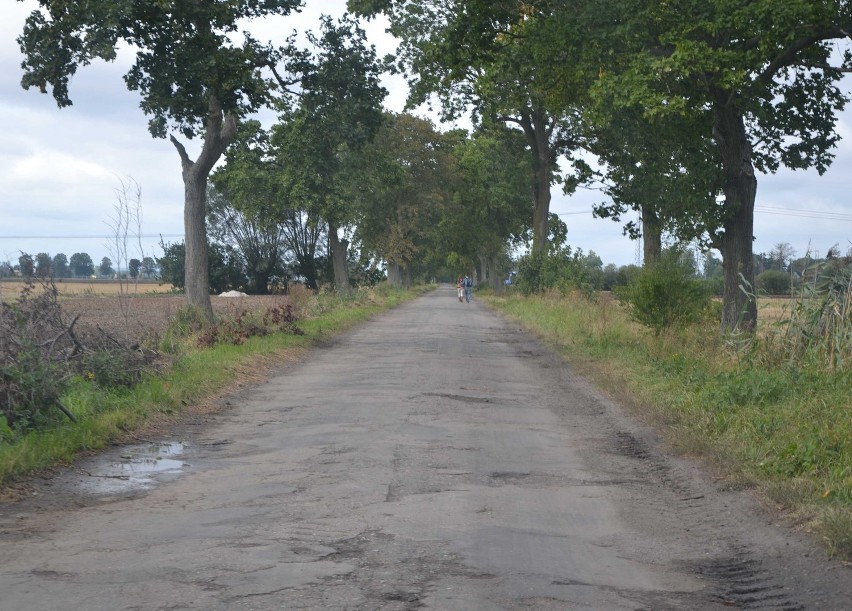 Gm. Nowy Staw. Mieszkańcy Pręgowa chcą remontu drogi: &quot;To jedna z gorszych dróg w województwie&quot;