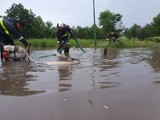 Oberwanie chmury i lokalne podtopienia w gminie Ujazd. Trudna sytuacja na rzece Piasecznicy [ZDJĘCIA]