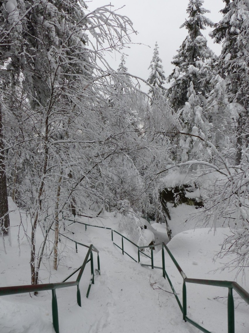 Prawdziwa zima w Górach Stołowych. Zobacz zdjęcia (GALERIA)