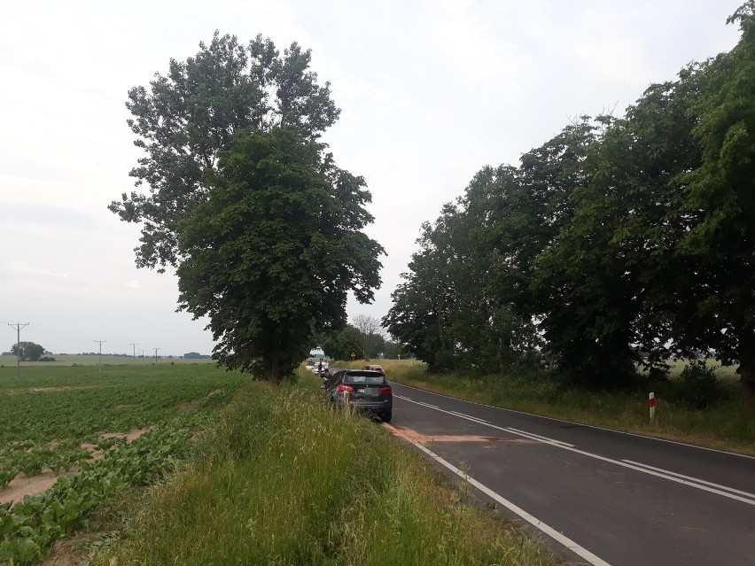 Kolizja na granicy gminy Stargard i gminy Dolice. Kierujący BMW uderzył w drzewo. ZDJĘCIA       