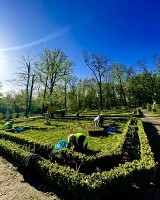 Wiosenne porządki na miejskich rabatach w Skierniewicach