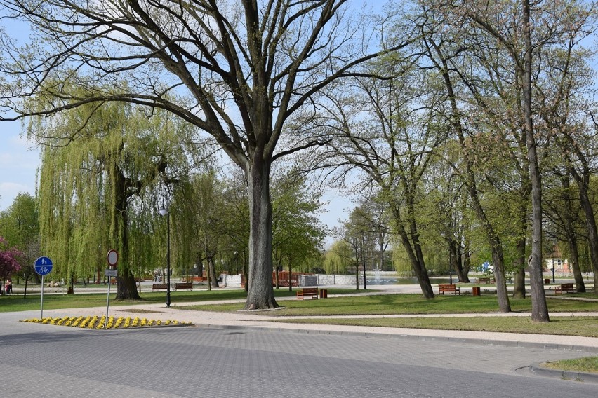 Zduńska Wola. Park Miejski w kwietniowej odsłonie [zdjęcia]