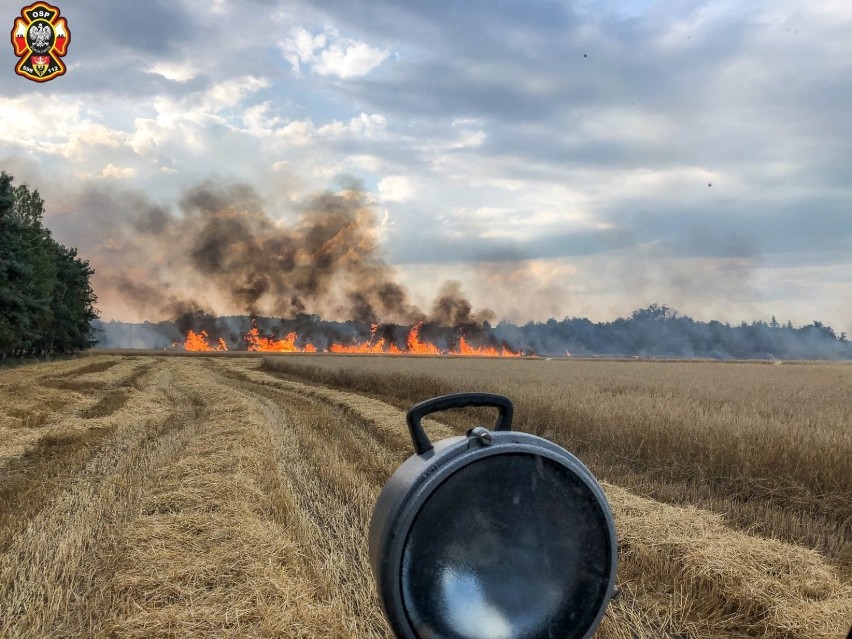 Pożar pola w Brzezince. Spłonęło 60 hektarów 