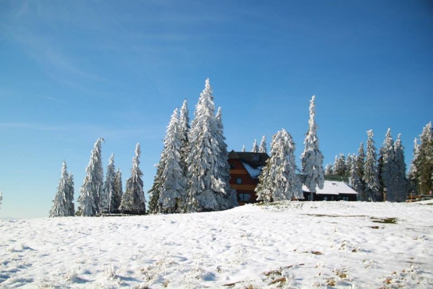 Śnieg w Beskidach. W górach wciąż biało! [ZDJĘCIA]