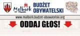 Malbork. Na budżet obywatelski może "głosować" nawet niemowlę... Wkrótce kampania informacyjna dla edycji 2020