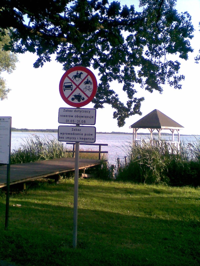 Regulaminowa idylla nad jeziorem Miedwie